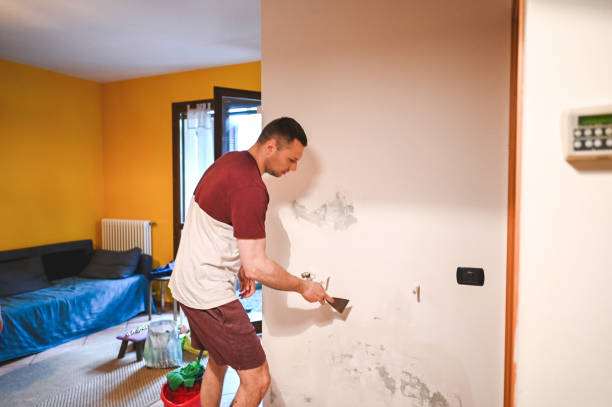 Best Commercial Mold Remediation in Baker, LA